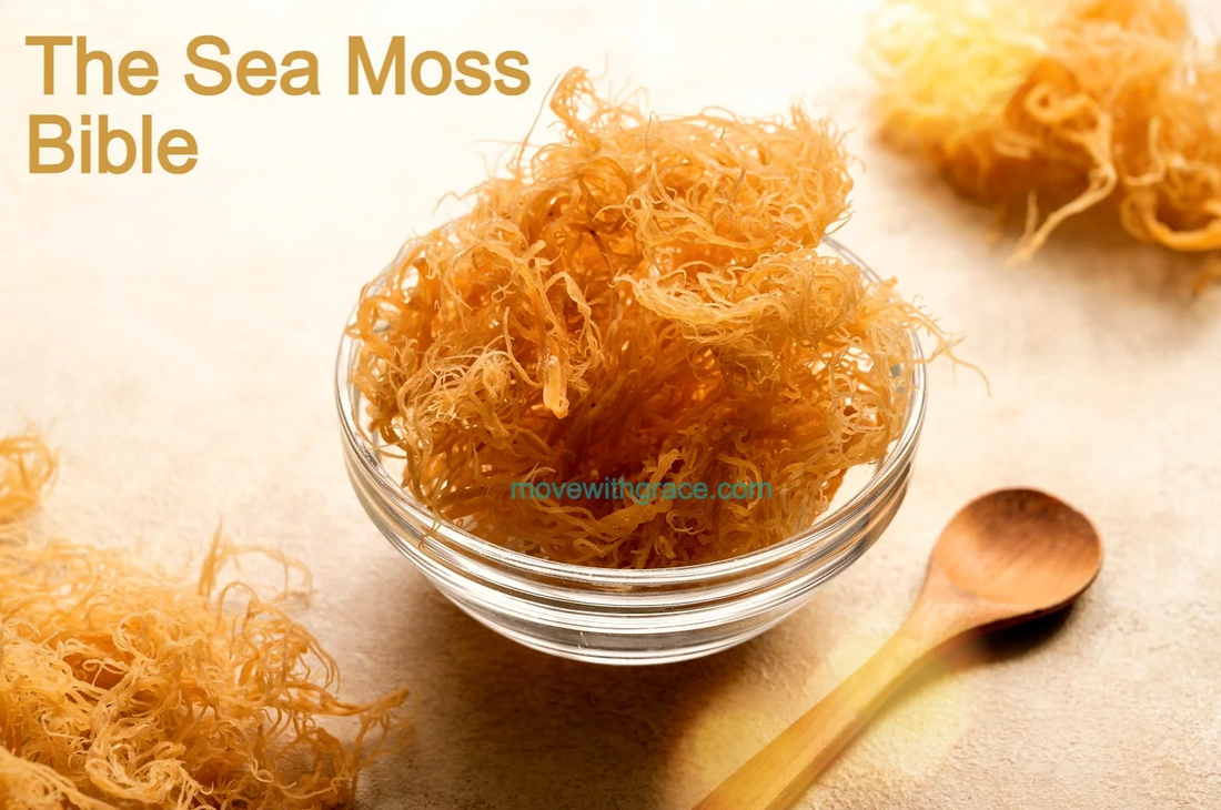 The Complete Guide to Sea Moss: Everything You Need to Know!